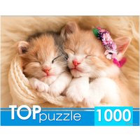 Пазл Рыжий кот Два спящих котенка
