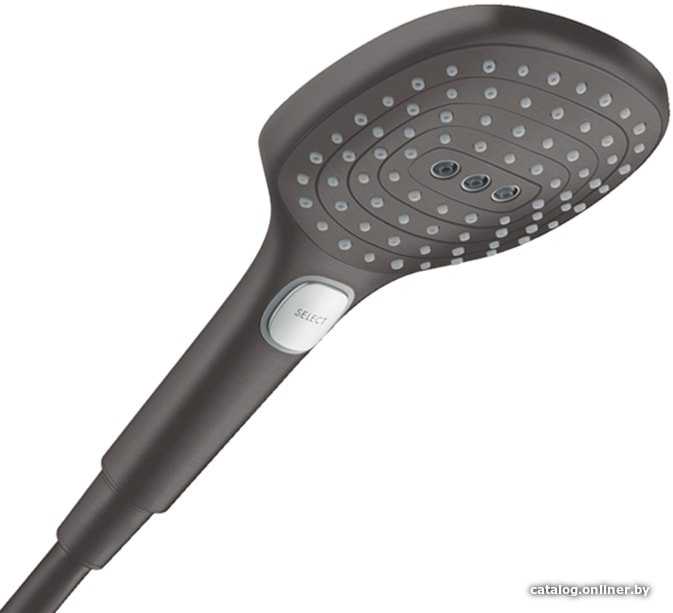 Душевая лейка Hansgrohe Raindance Select E 26520340 (черный матовый)