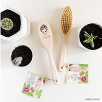 Щетка Miss Laminaria для сухого массажа с ручкой (кактус)