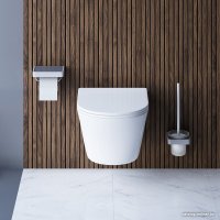 Унитаз подвесной Damixa Skyline DX35C1700SC