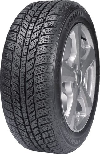 Зимние шины Evergreen EW62 205/65R16 95H