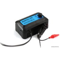 Зарядное устройство Вымпел 09 [2039]