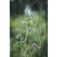 Беззеркальный фотоаппарат Olympus OM-5 Kit 12-45mm (черный)