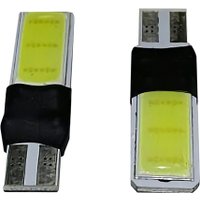 Светодиодная лампа AVS C027 T10 A78442S (2 шт)
