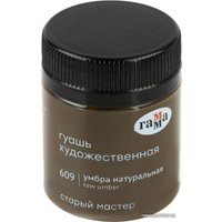 Гуашь Гамма Старый Мастер 609 12112040609 (умбра натуральный)