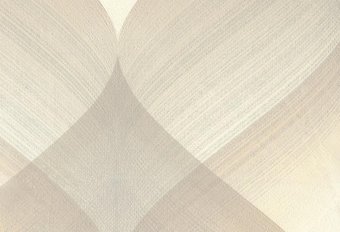 Виниловые обои Ornamy Omega 8020-00