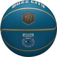 Баскетбольный мяч Wilson NBA Team City Collector Charlotte Hornets WZ4024104XB7 (7 размер) в Бресте