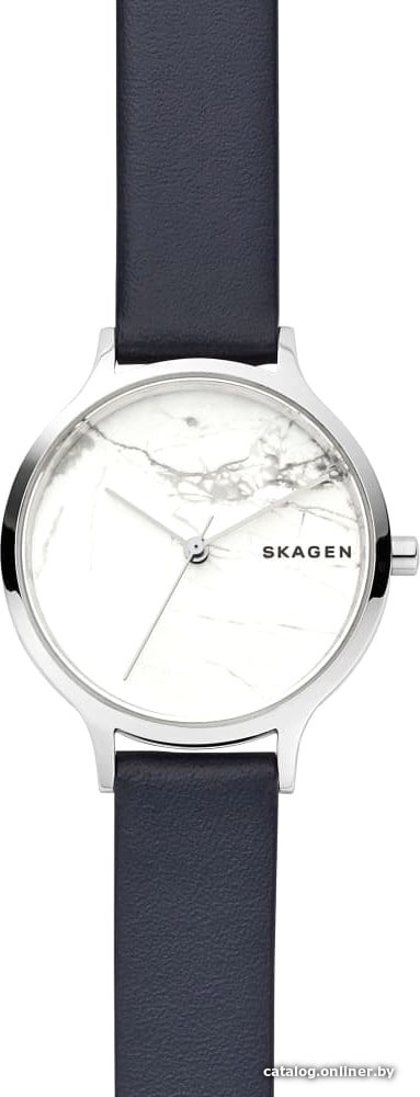 Наручные часы Skagen SKW2719