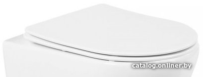 Сиденье для унитаза BelBagno BB901SC
