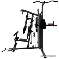 Силовой комплекс DFC D7006