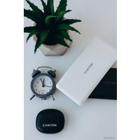 Внешний аккумулятор Canyon PB-109 10000mAh (белый)