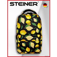 Городской рюкзак Steiner ST1-9