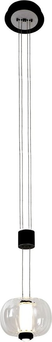 

Подвесная люстра Favourite Lyfta 4493-1P