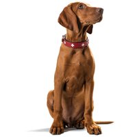 Ошейник Hunter Collar Swiss 41955 (50/S-M, красный/черный)