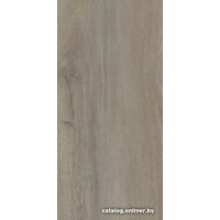 Виниловый пол Aspenfloor SPC Premium Wood XL Дуб Рочестер 4V PW4-07