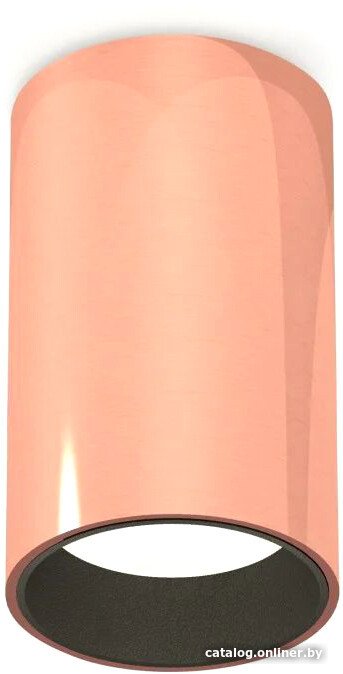 Точечный светильник Ambrella light Techno spot XS6326003 PPG/SBK