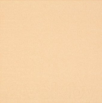 Рулонные шторы Lm Decor Лайт LM 30-10С 57x160