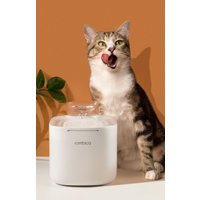 Поилка Rombica myPet Mia