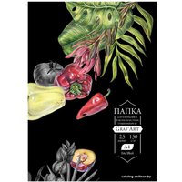 Набор бумаги для рисования Малевичъ GrafArt Black 402314 (25 л)