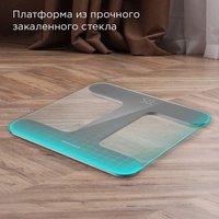 Напольные весы Redmond (Редмонд) SB1811