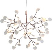 Heracleum L32510