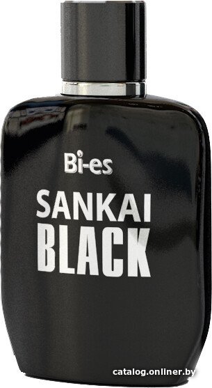Туалетная вода BI-ES Sankai Black EdT (100 мл)