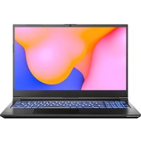Игровой ноутбук CLEVO NP50DB SW13893