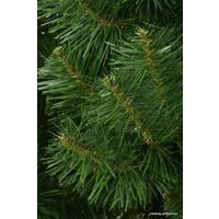 Сосна Erbis Сибирская 2.2 м