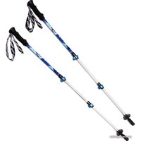 Треккинговые палки BTrace Viper