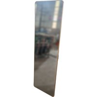 Зеркало Saniteco L-aluminum 160x50 (золото)