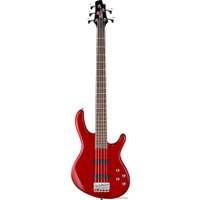Бас-гитара Cort Action Bass V Plus TR