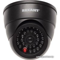 IP-камера Rexant 45-0230
