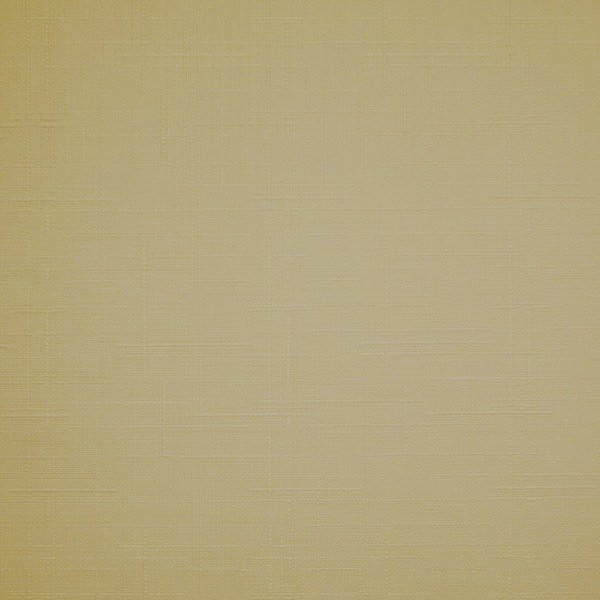 

Рулонные шторы Jalux Лен 881 65x160 (капучино)