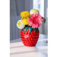 Ваза Doiy Raspberry DYVASFMRA в Гродно