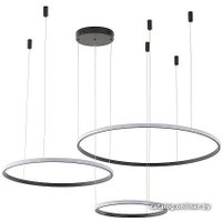 Подвесная люстра Zortes Ringolight ZRS.33320.120F