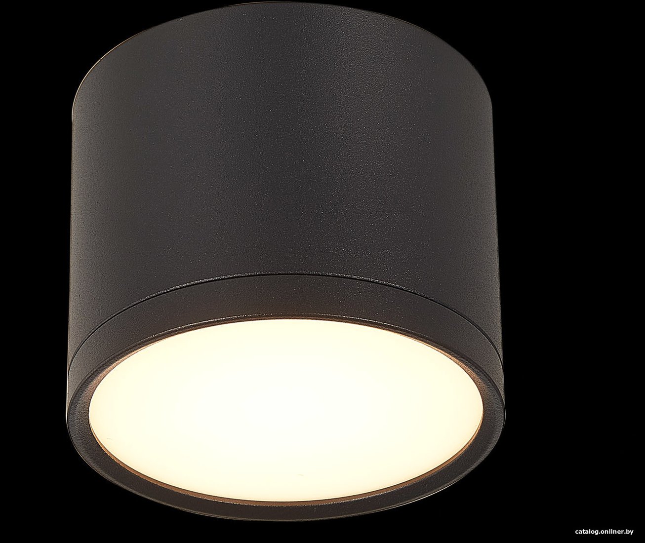 Точечный светильник ST Luce Rene ST113.432.09