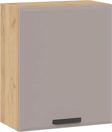 

Шкаф навесной Трия Тиана 1В6 с одной дверью (дуб крафт золотой/мокко супермат)