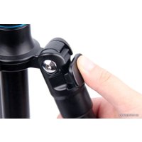 Трипод Raylab Pro 70 (с головой)