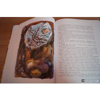 Книга издательства Махаон. Приключения Эмиля из Леннеберги (Линдгрен А.)