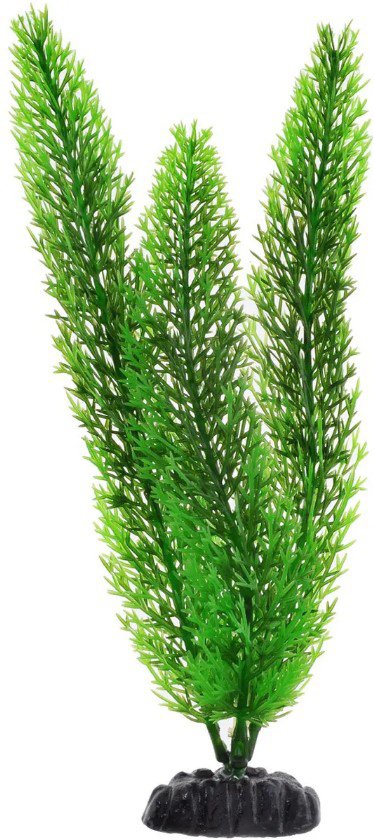 

Искусственное растение Barbus Роголистник Plant 015/20 (зеленый)