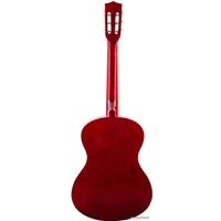 Акустическая гитара Terris TC-3805A NA