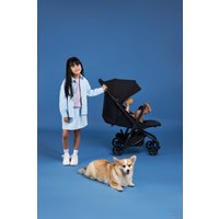 Коляска прогулочная «книга» Anex Air-z (space Az-04)