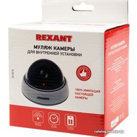 IP-камера Rexant 45-0210