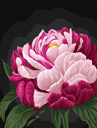 kk53817