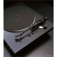 Виниловый проигрыватель Denon DP-300F (черный)