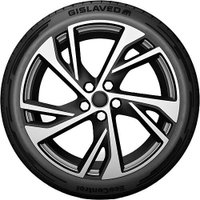 Летние шины Gislaved EcoControl 205/55R16 91V