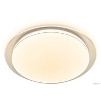 Светильник-тарелка Ambrella light FZ1048 (белый)