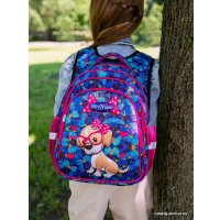 Школьный рюкзак SkyName R2-172