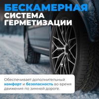 Зимние шины Autogreen Snow Chaser AW02 255/45R20 105T
