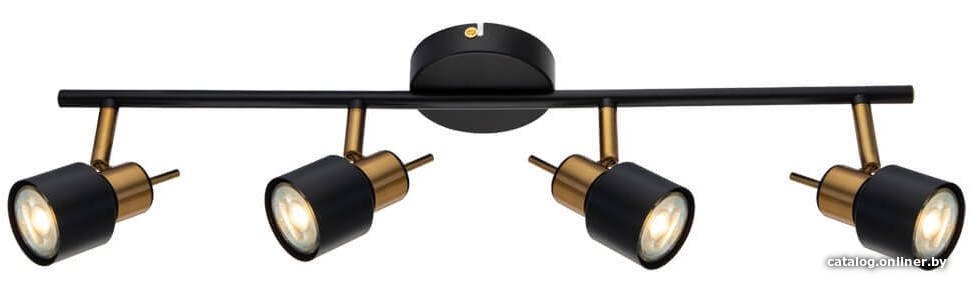 Спот Arte Lamp Almach A1906PL-4BK